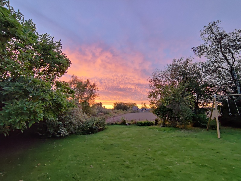 Jardin et ciel dégagé
