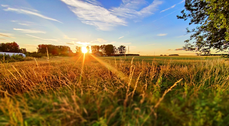 Vue dégagée au coucher de soleil